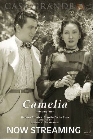 Camelia's poster