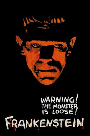 Frankenstein's poster