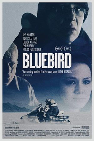 Bluebird's poster