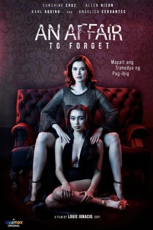 An Affair to Forget's poster