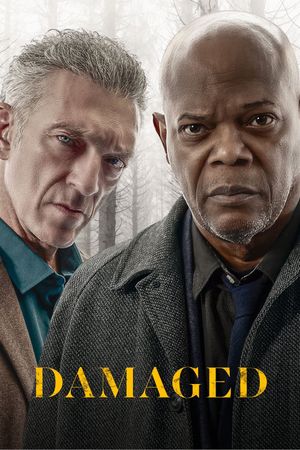 Damaged's poster