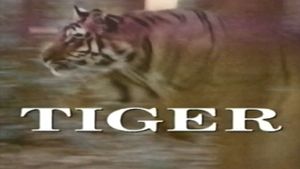 Predators of the Wild: Tiger's poster