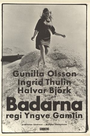 Badarna's poster image