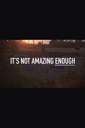 It's Not Amazing Enough's poster