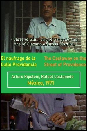 El náufrago de la calle Providencia's poster