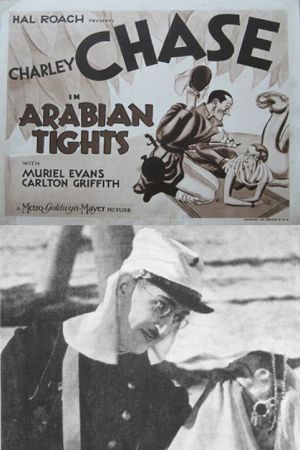 Arabian Tights's poster