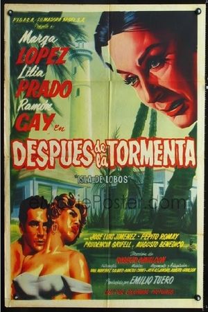 After the Storm's poster