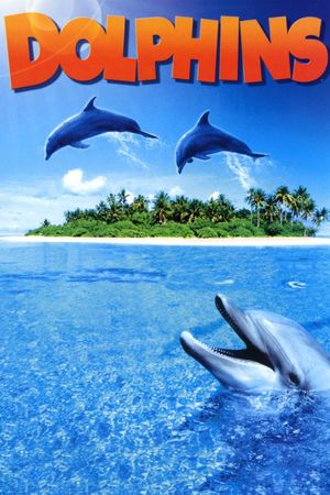 Dolphins's poster
