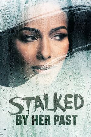 Stalker's poster
