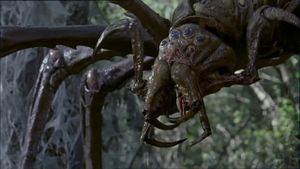 Arachnid's poster