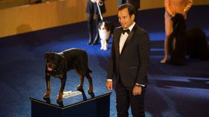 Show Dogs's poster