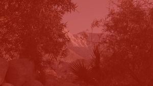 Onward Lossless Follows's poster