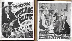 Whistling Bullets's poster