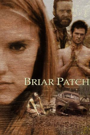 Briar Patch's poster