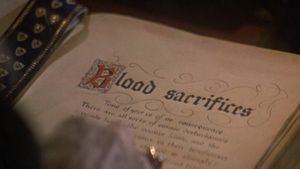 Countess Dracula's poster