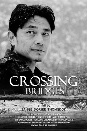 Crossing Bridges's poster