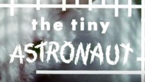 The Tiny Astronaut's poster