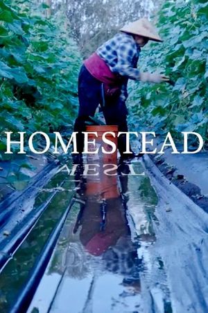 Homestead's poster