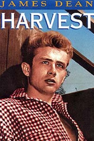 Harvest's poster