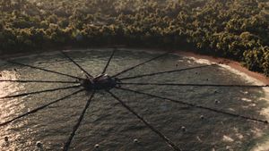 The Hunger Games: Catching Fire's poster