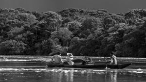 Embrace of the Serpent's poster