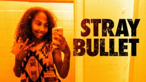 Stray Bullet's poster