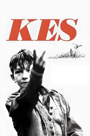 Kes's poster
