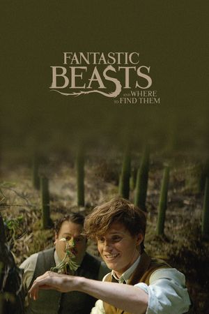 Fantastic Beasts and Where to Find Them's poster