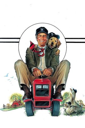 Funny Farm's poster