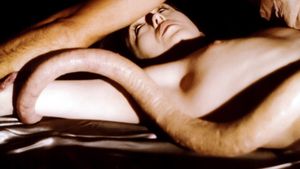 Possession's poster