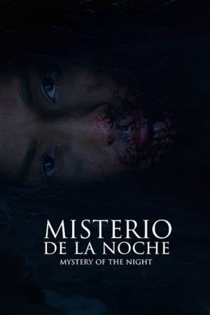 Mystery of the Night's poster