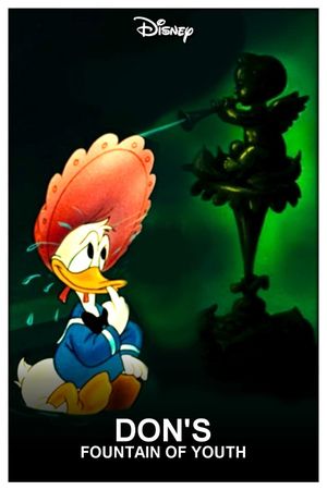 Don's Fountain of Youth's poster