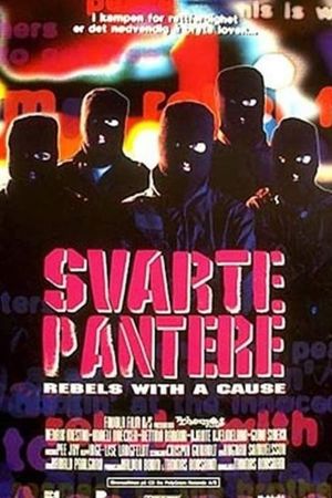 Svarte pantere's poster