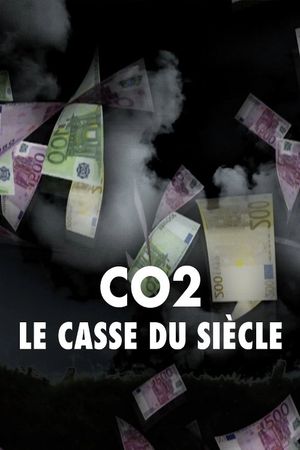 CO2 : le casse du siècle's poster