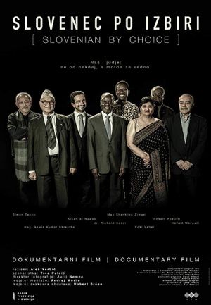 Slovenec po izbiri's poster