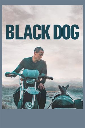 Black Dog's poster