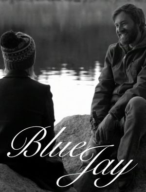 Blue Jay's poster
