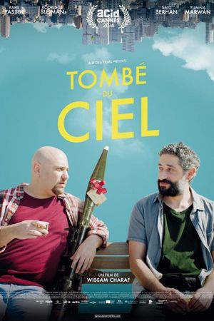 Tombé du ciel's poster image