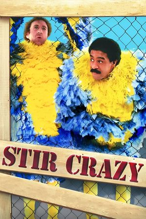 Stir Crazy's poster