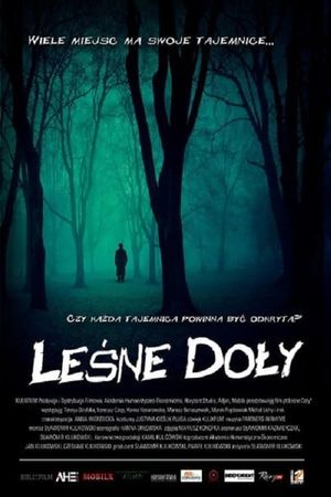 Lesne doly's poster