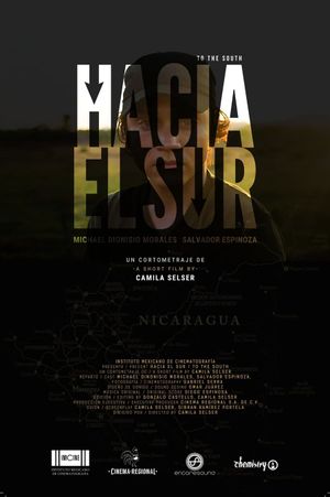 Hacia el sur's poster image