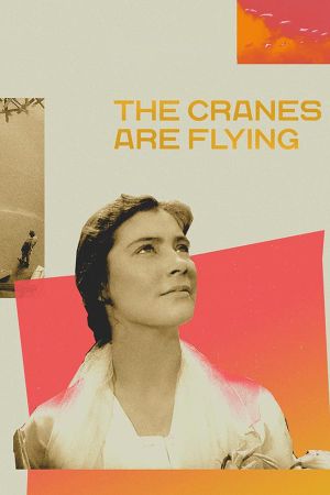 The Cranes Are Flying's poster