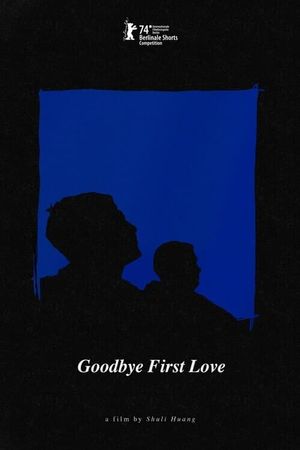 Goodbye First Love's poster