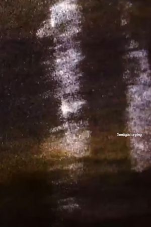 Sunlight Crying's poster