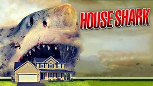 House Shark's poster