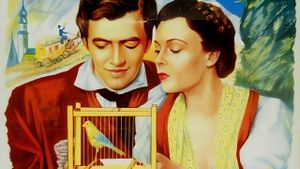 Der Vogelhändler's poster