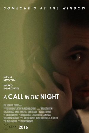 A Call in the Night's poster image