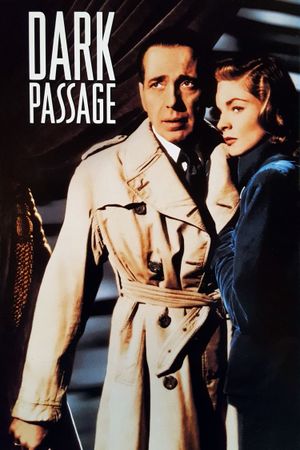 Dark Passage's poster