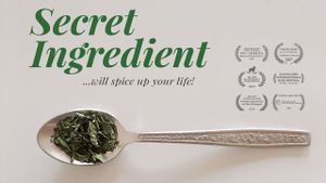 Secret Ingredient's poster