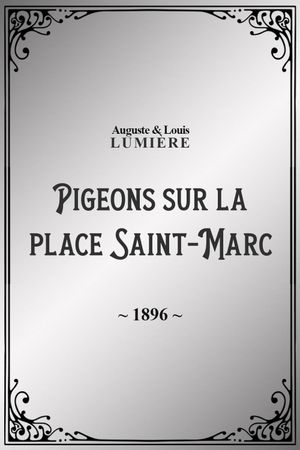 Pigeons sur la place Saint-Marc's poster